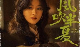 《风》在线观看,穿越时空的旋律之旅